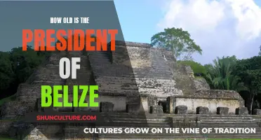 The Age of Belize's Leadership