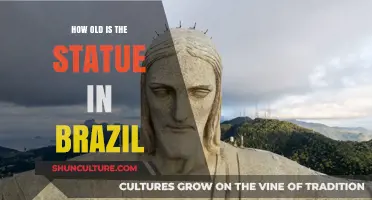 Unveiling the Age of Brazil's Iconic Statue: A Historical Journey