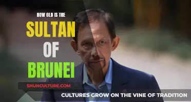 The Sultan of Brunei: His Age and Legacy