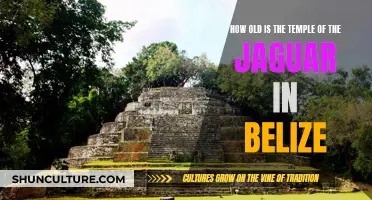 The Ancient Mystery of Belize's Temple of the Jaguar