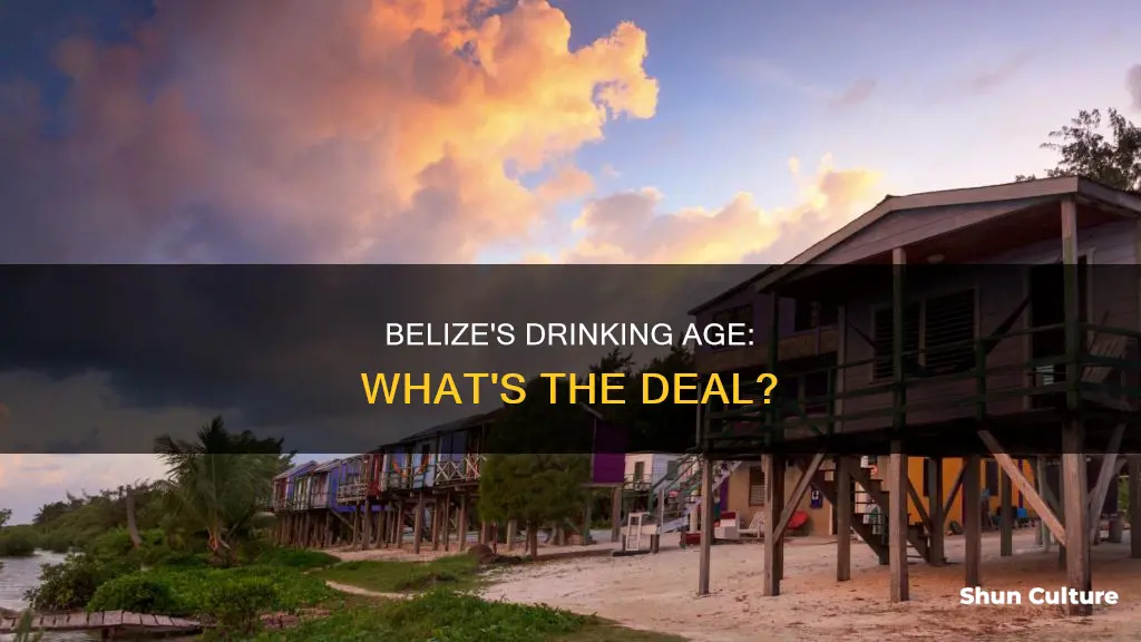 how old to drink in belize