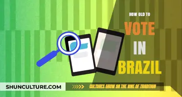 Voting Age in Brazil: Understanding the Legal Requirements to Cast Your Ballot