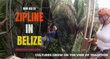 Belize's Zipline Adventures: Age Requirements and Family Fun