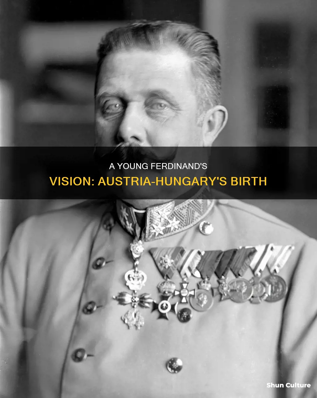 how old was franz fedinand when austria and hungary united