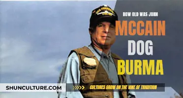 The Age of John McCain's Dog Burma: A Canine Companion's Story