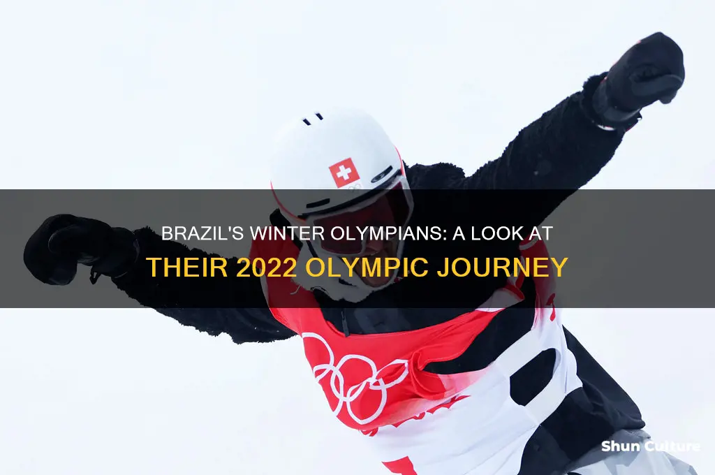 how olympians from brazil will be at the winter olym