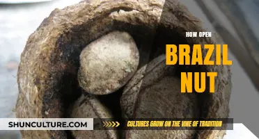 Mastering the Art of Cracking Open Brazil Nuts Safely