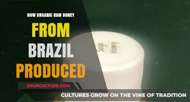 Brazil's Organic Raw Honey: Sustainable Harvesting and Artisanal Production Process