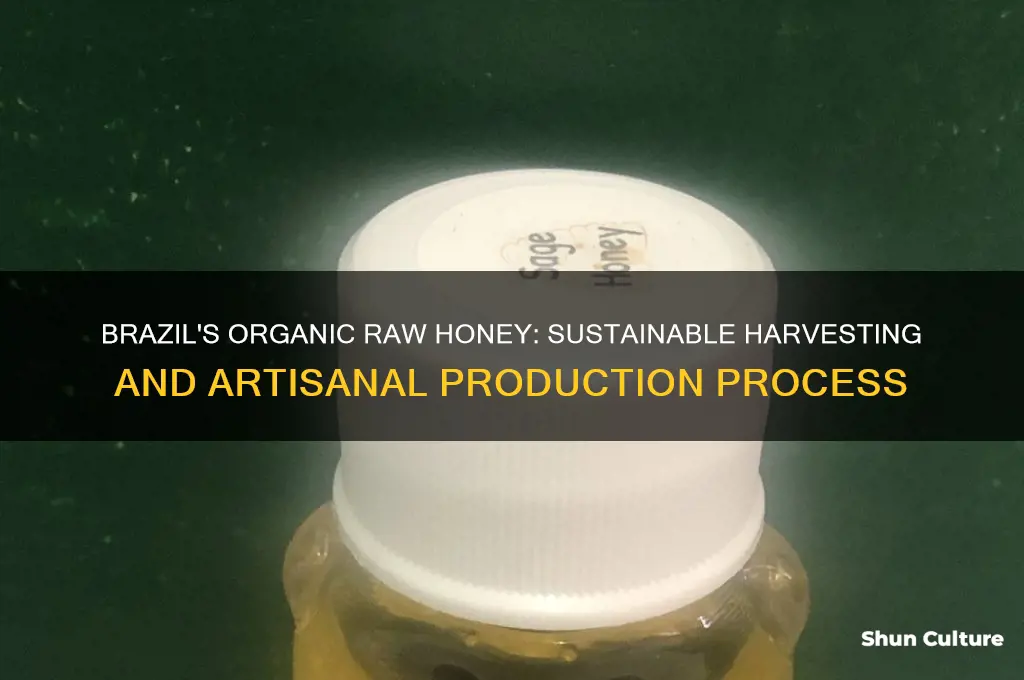 how organic raw honey from brazil produced