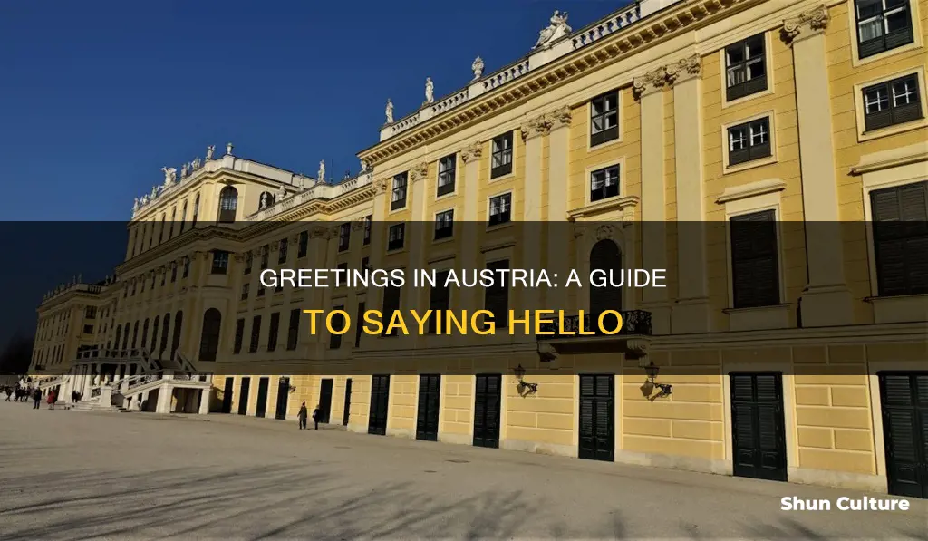 how ot say hi in austria