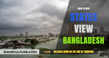 Bangladesh's Global Image: Perceptions and Realities from Abroad