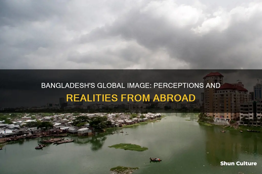 how other states view bangladesh