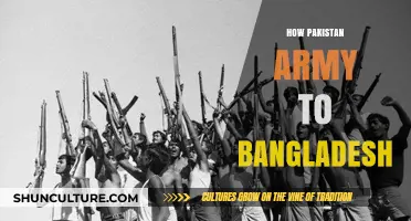 Pakistan Army's Role in Bangladesh's Liberation War: A Historical Overview
