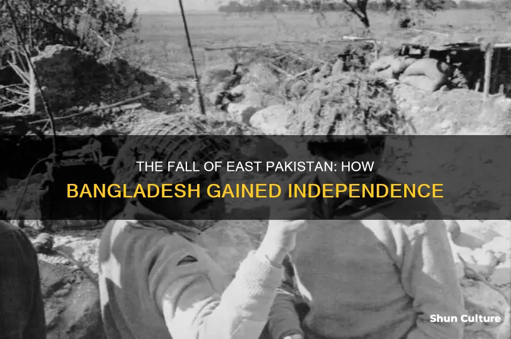 how pakistan lost bangladesh