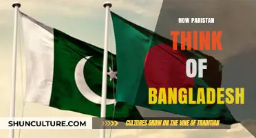 Pakistan's Perspective: Understanding Bangladesh Relations and Mutual Perceptions