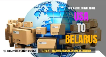 A Parcel's Journey: USA to Belarus