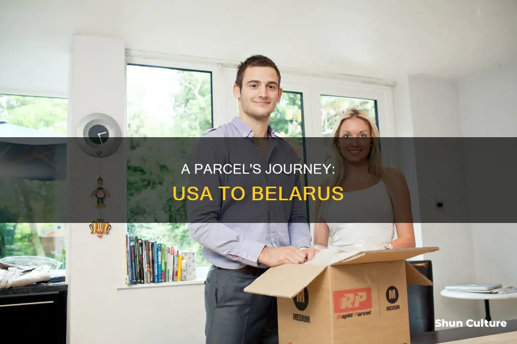 how parcel travel from usa to belarus