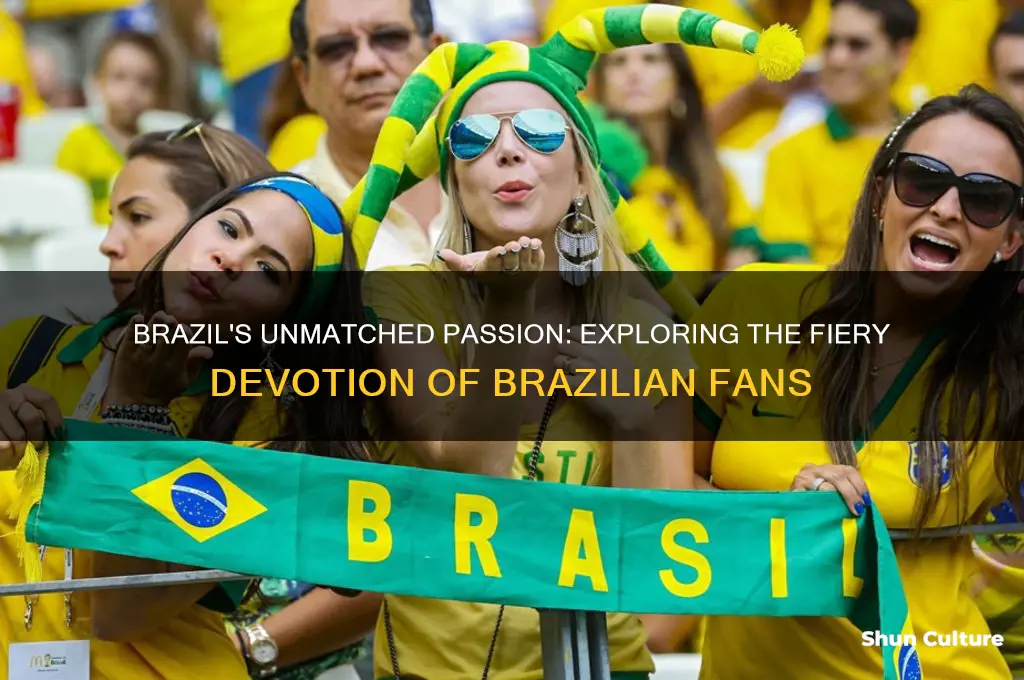 how passionate are brazil fans