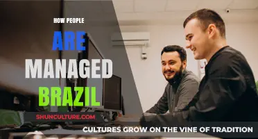 Managing Talent in Brazil: Cultural Insights and Effective Leadership Strategies