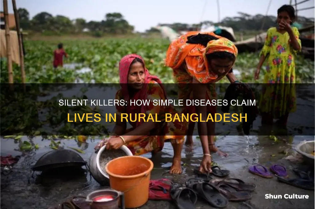 how people die from simple diseases in rural bangladesh