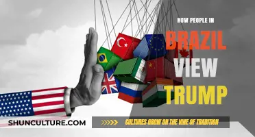 Brazil's Perspective: How Brazilians Perceive Donald Trump's Legacy and Impact