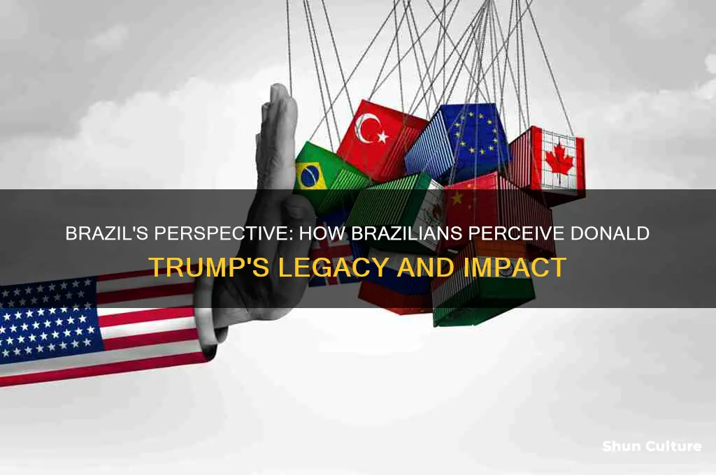 how people in brazil view trump