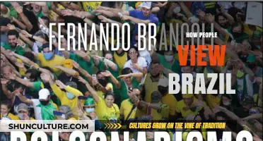 Brazil Through Global Eyes: Perceptions, Stereotypes, and Reality Revealed