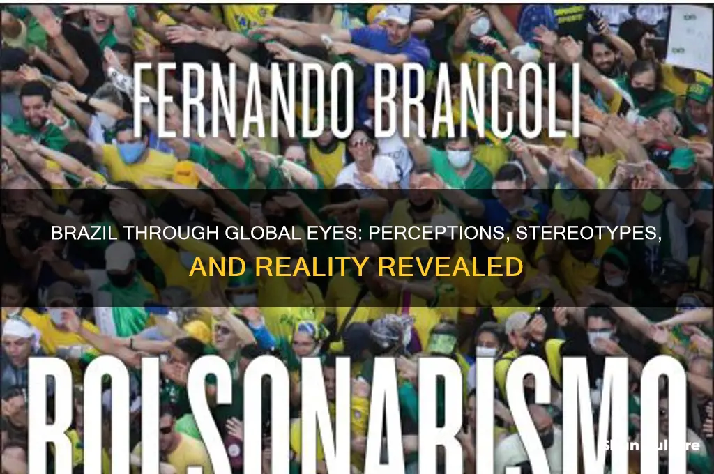 how people view brazil