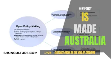 Policy-making in Australia: A Step-by-Step Guide