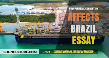 Political Corruption in Brazil: Impact on Economy, Society, and Democracy