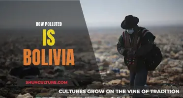 Bolivia's Pollution Crisis: A Comprehensive Overview