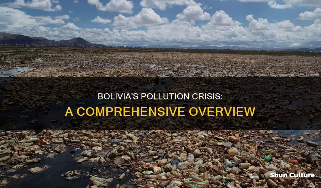 how polluted is bolivia