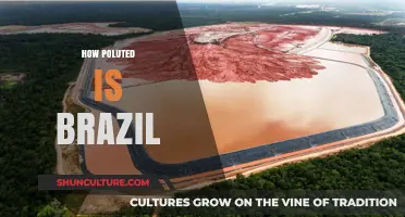 Brazil's Pollution Crisis: Unveiling the Environmental Challenges and Solutions