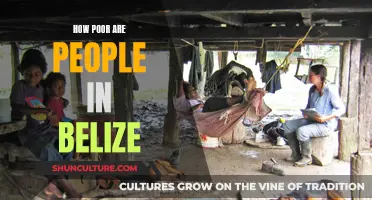 Belize's Poverty Paradox: Unraveling the Income Inequality Mystery