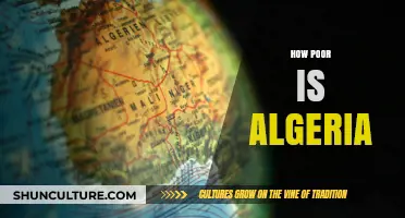 Algeria's Economic Struggles: Unveiling the Reality of Poverty and Challenges