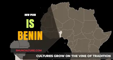 Exploring Benin's Economic Challenges: A Path to Progress