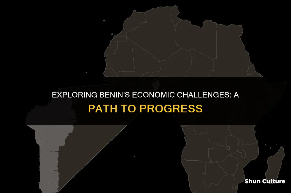 how poor is benin
