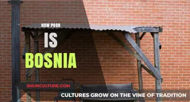 Bosnia's Economic Struggles: Uncovering the Depth of Poverty and Challenges