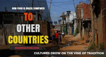 Brazil's Poverty: A Comparative Analysis of Global Economic Disparities