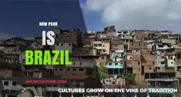 Brazil's Economic Struggles: Unveiling the Depth of Poverty and Inequality