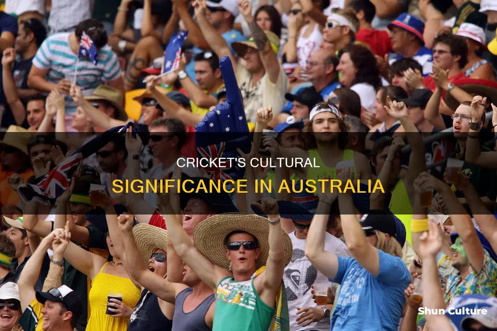 how popular cricket in australia
