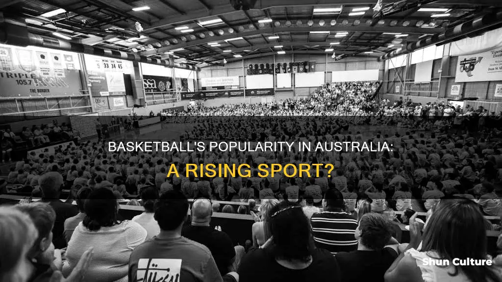 how popular is basketball in australia