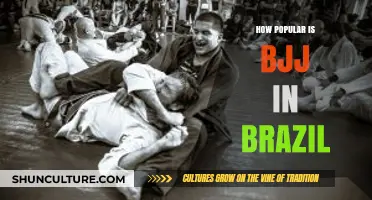 BJJ's Cultural Impact: Exploring Brazilian Jiu-Jitsu's Popularity in Brazil