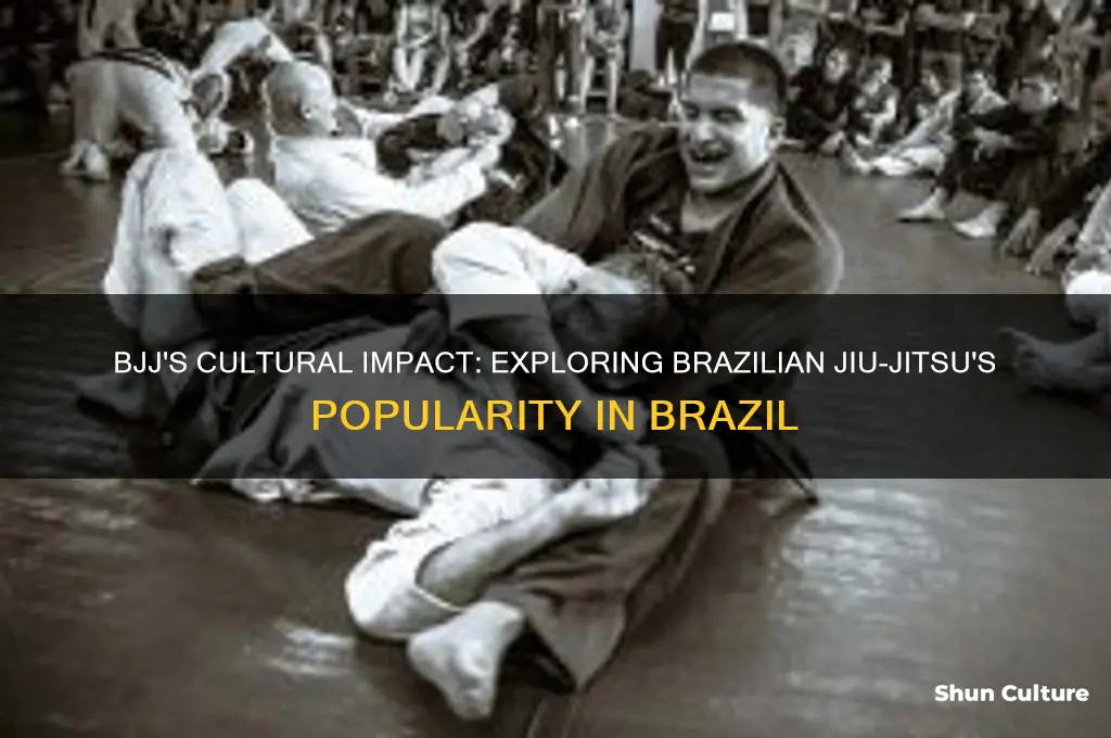 how popular is bjj in brazil