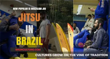 Brazilian Jiu-Jitsu's Cultural Impact and Popularity in Brazil Today