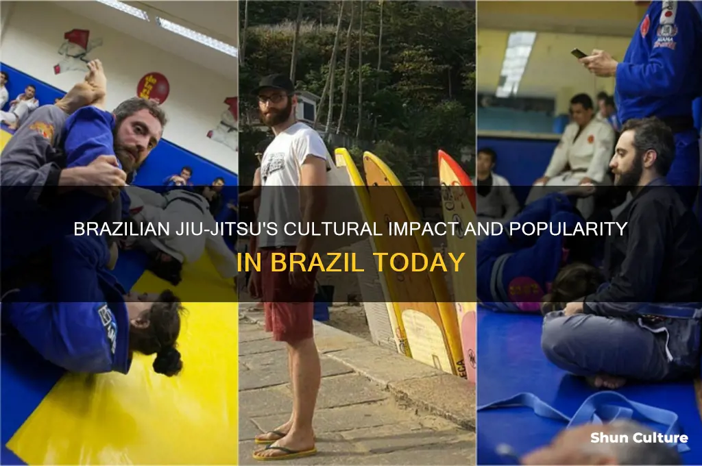 how popular is brazilian jiu jitsu in brazil