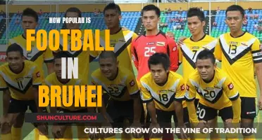 The Beautiful Game's Popularity in Brunei