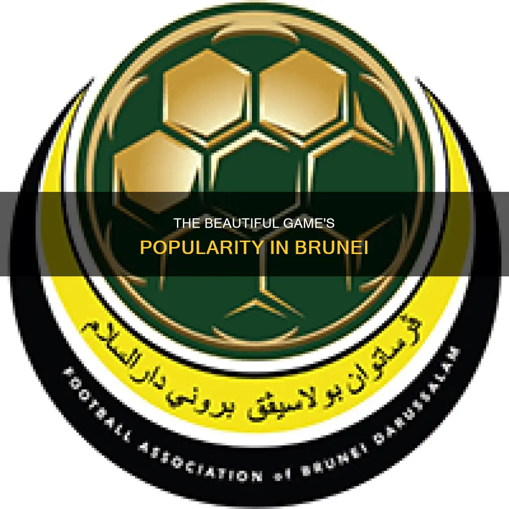 how popular is football in brunei