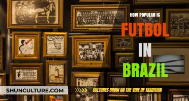 Futbol Fever: Exploring Brazil's Passionate Love Affair with the Sport