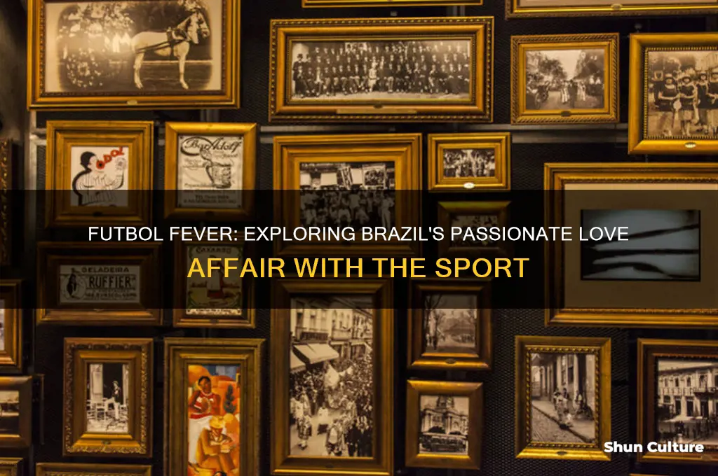 how popular is futbol in brazil